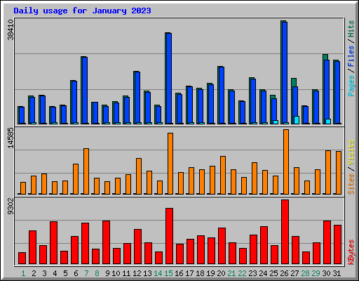 Daily usage for January 2023