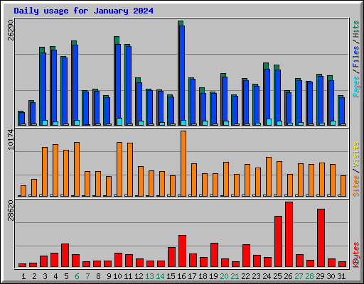 Daily usage for January 2024