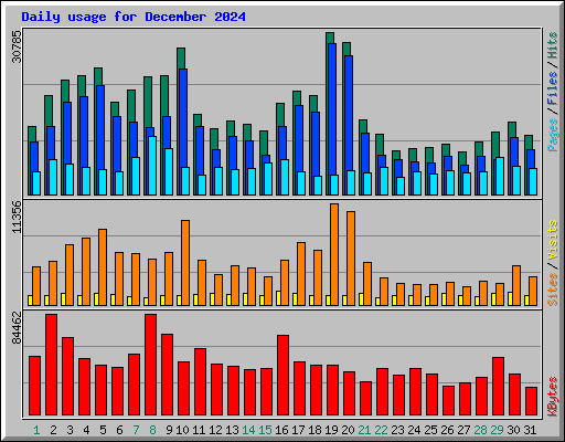 Daily usage for December 2024