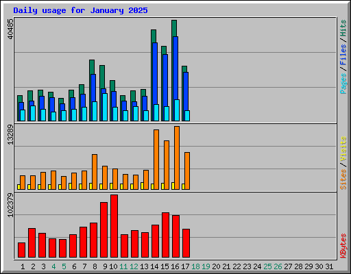 Daily usage for January 2025