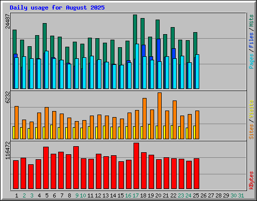 Daily usage for August 2025