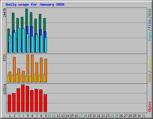 Daily usage for January 2026