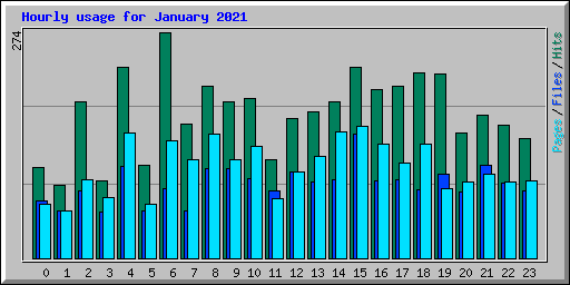 Hourly usage for January 2021