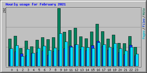 Hourly usage for February 2021