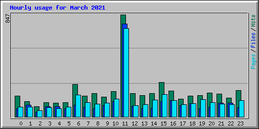 Hourly usage for March 2021