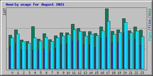 Hourly usage for August 2021