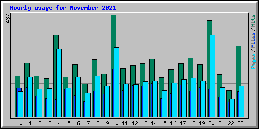 Hourly usage for November 2021