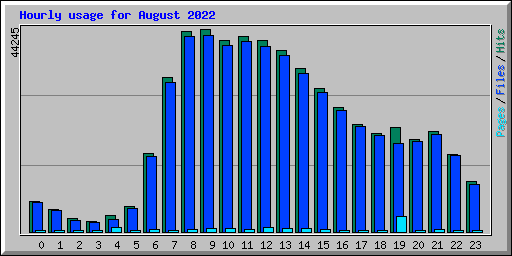 Hourly usage for August 2022