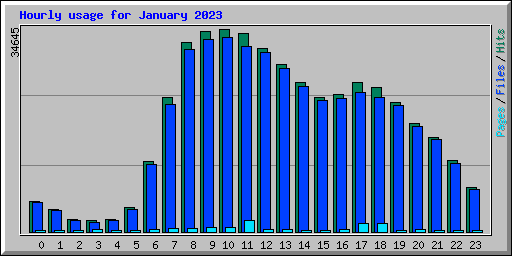 Hourly usage for January 2023