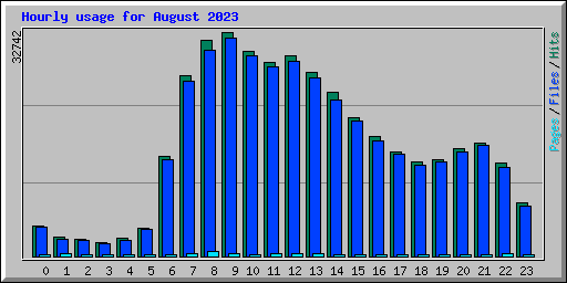 Hourly usage for August 2023