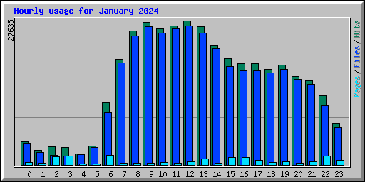 Hourly usage for January 2024