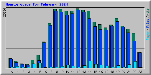 Hourly usage for February 2024