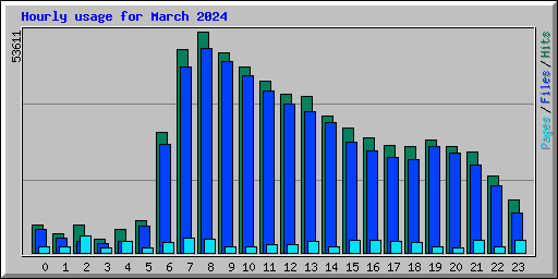 Hourly usage for March 2024