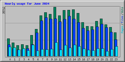 Hourly usage for June 2024