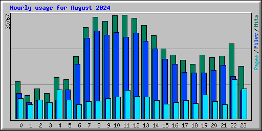 Hourly usage for August 2024