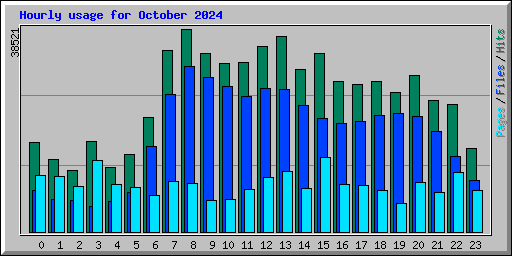 Hourly usage for October 2024