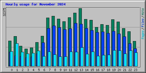 Hourly usage for November 2024