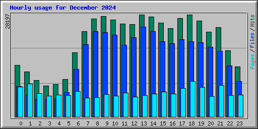 Hourly usage for December 2024