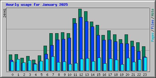 Hourly usage for January 2025