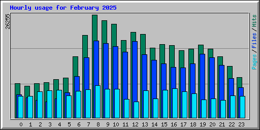 Hourly usage for February 2025