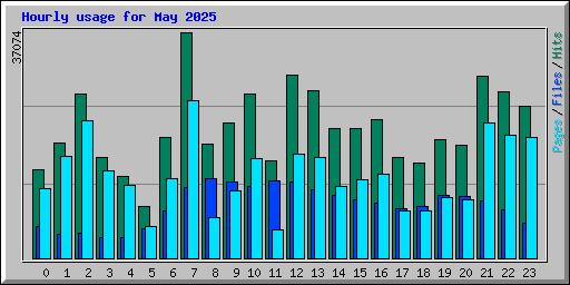 Hourly usage for May 2025