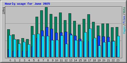 Hourly usage for June 2025