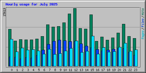 Hourly usage for July 2025