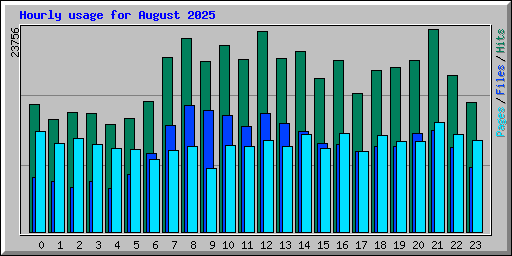 Hourly usage for August 2025