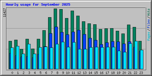 Hourly usage for September 2025