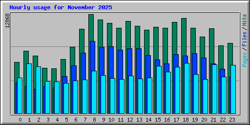 Hourly usage for November 2025