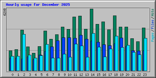 Hourly usage for December 2025