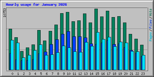 Hourly usage for January 2026