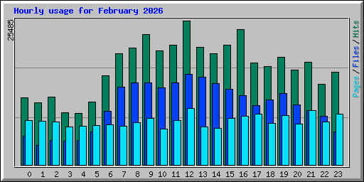 Hourly usage for February 2026