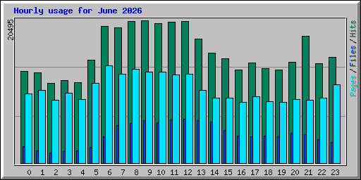 Hourly usage for June 2026