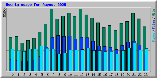 Hourly usage for August 2026